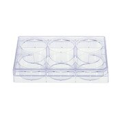 6 Well Cell Culture Plate